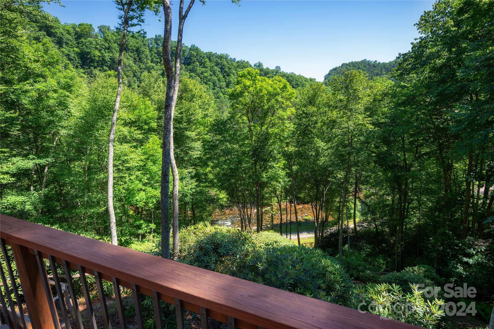 84 Back River Trail Marshall NC 28753