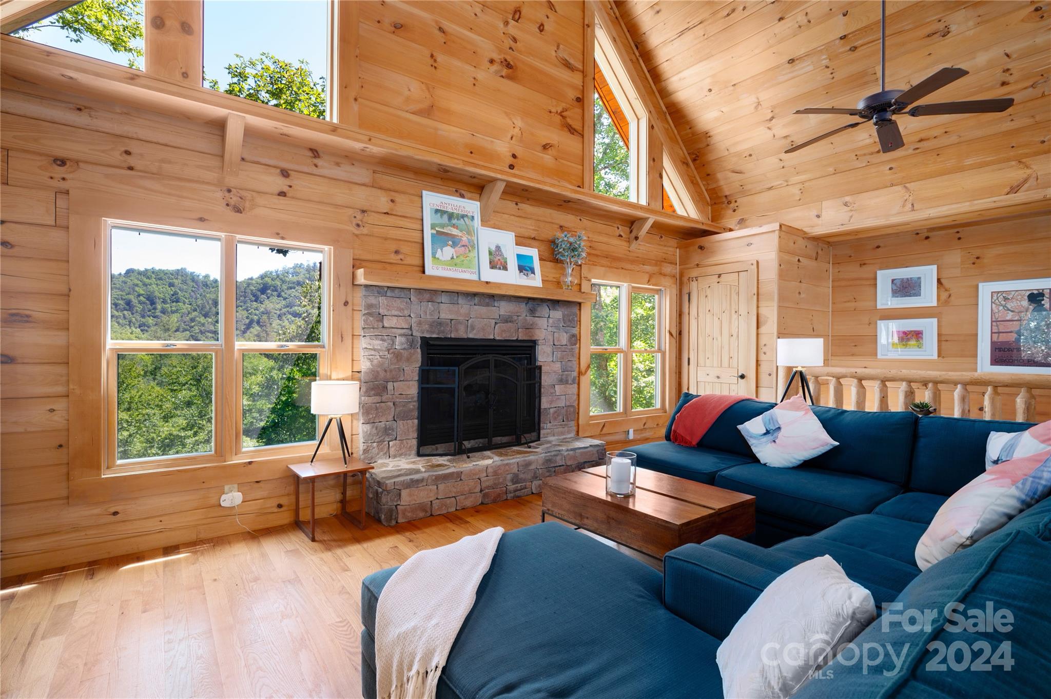 84 Back River Trail Marshall NC 28753
