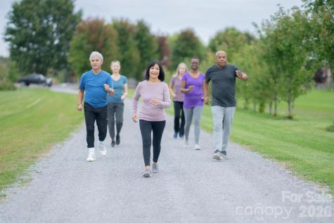 46 Beale Court Fletcher NC 28732