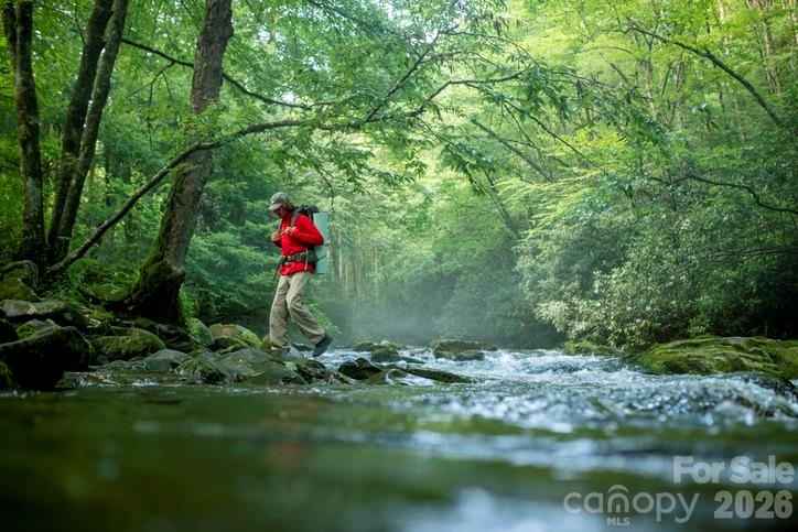 46 Beale Court Fletcher NC 28732