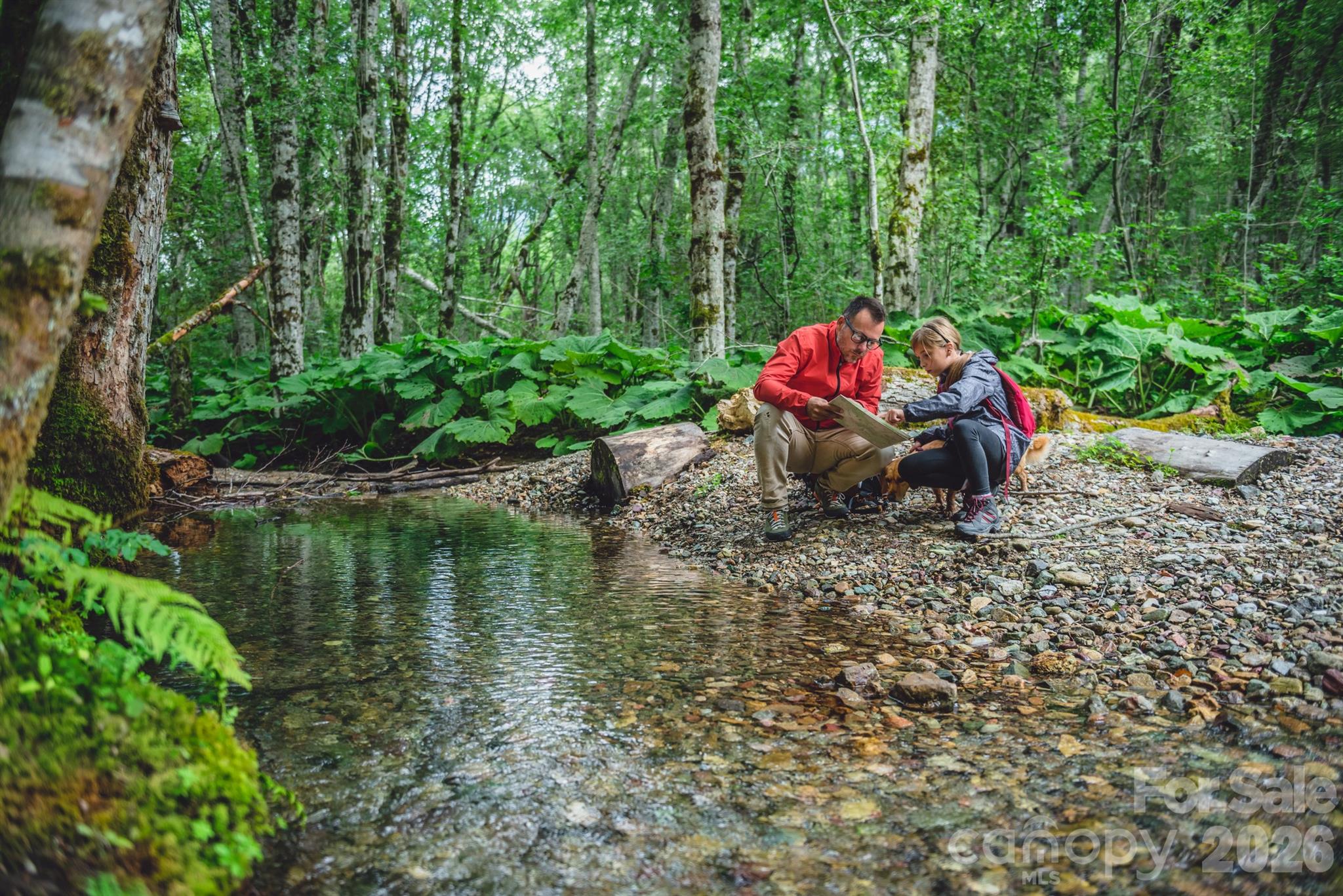 46 Beale Court Fletcher NC 28732