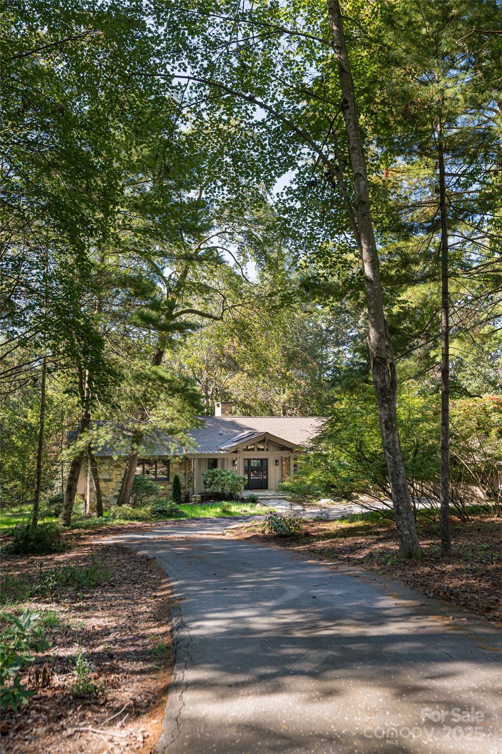 5 Holly Hill Road Asheville NC 28803
