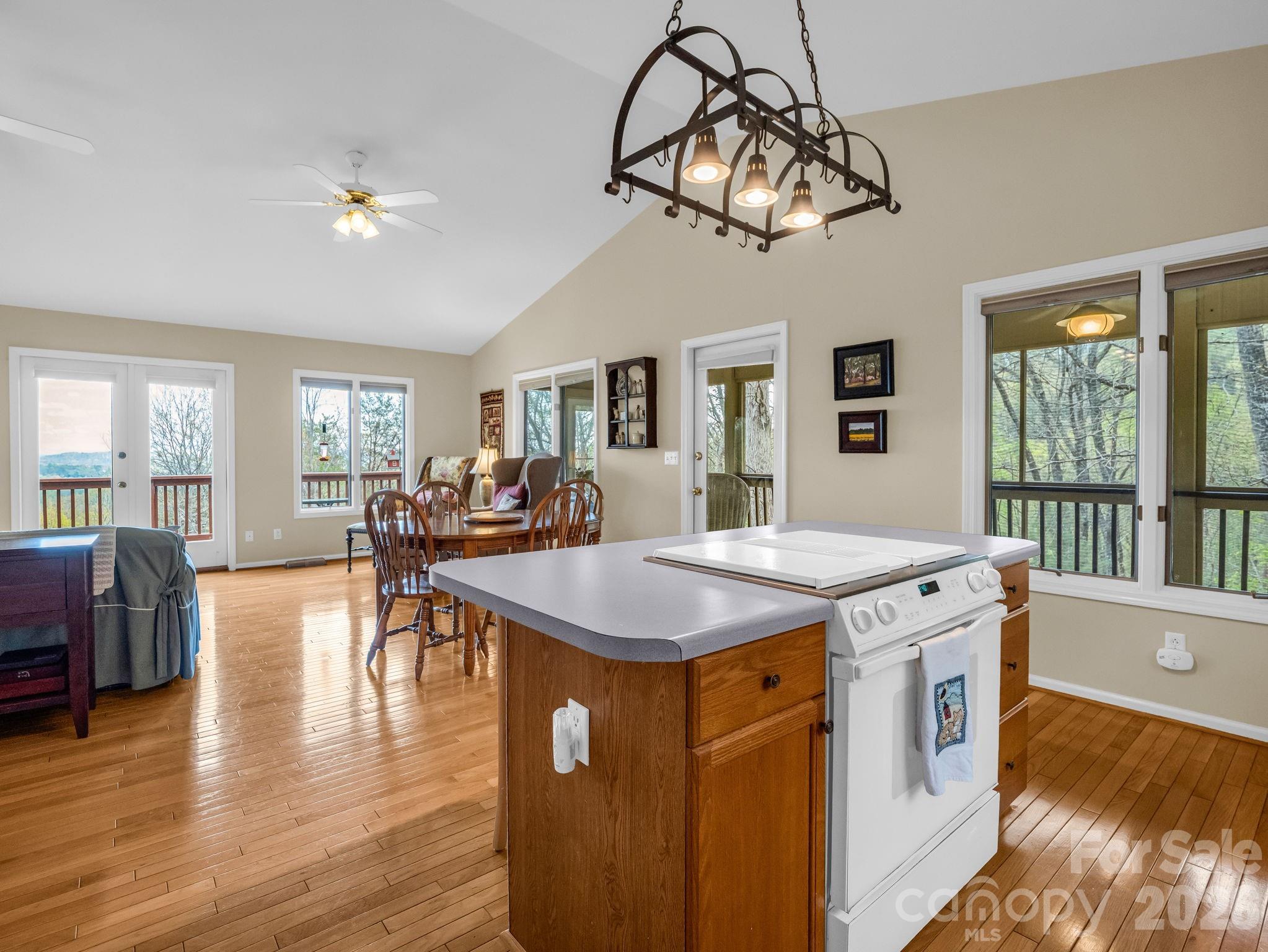 197 Thomas A Edison Road Lake Lure NC 28746