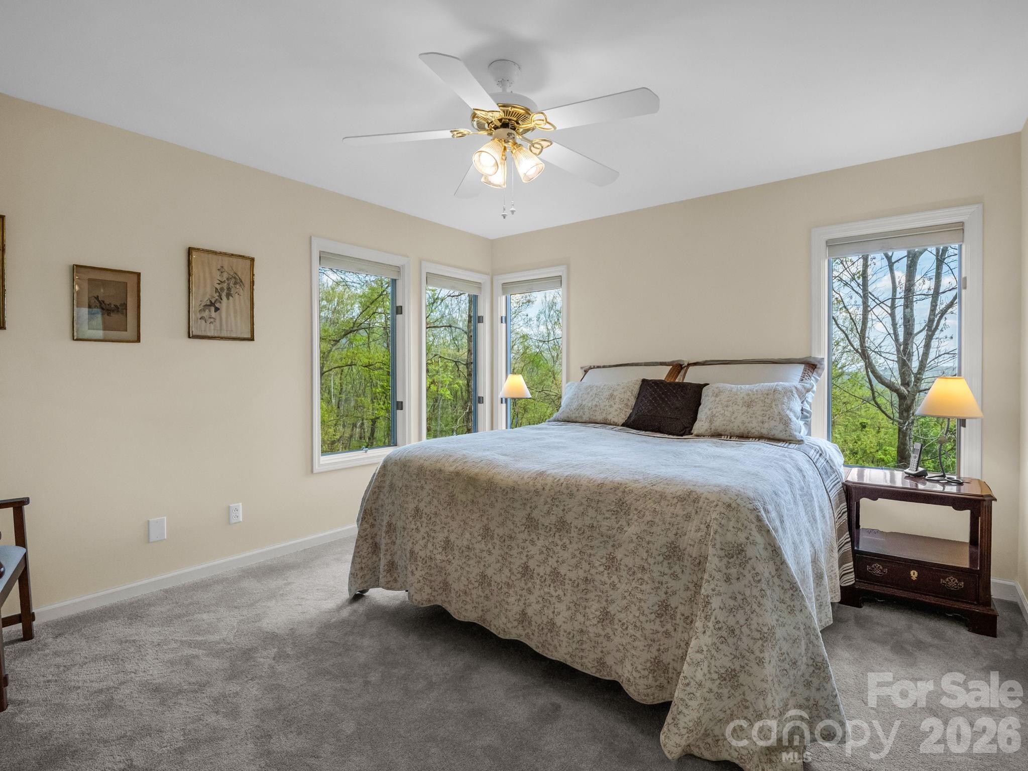 197 Thomas A Edison Road Lake Lure NC 28746