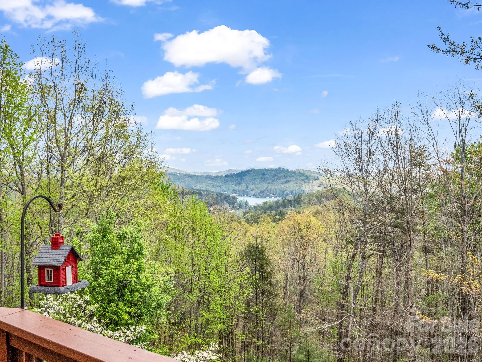 197 Thomas A Edison Road Lake Lure NC 28746