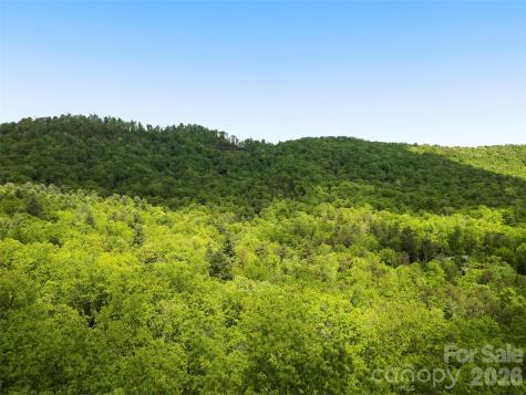 1455 Flint Rock Trail Arden NC 28704