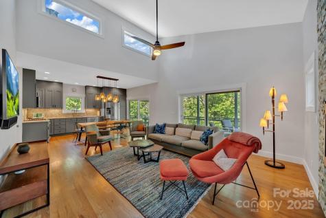 8 Birdhouse Row Asheville NC 28801