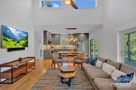 8 Birdhouse Row Asheville NC 28801