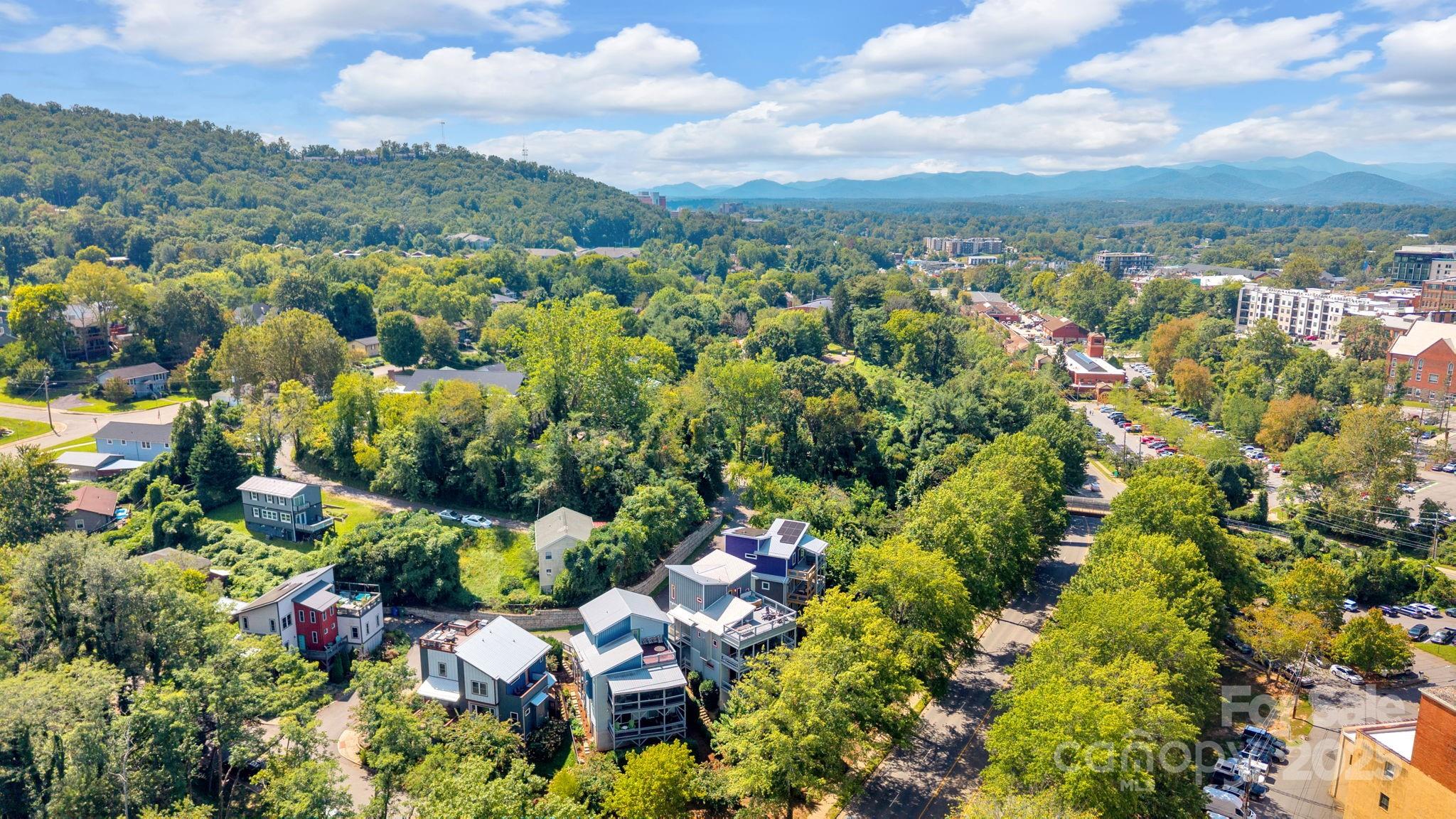 8 Birdhouse Row Asheville NC 28801