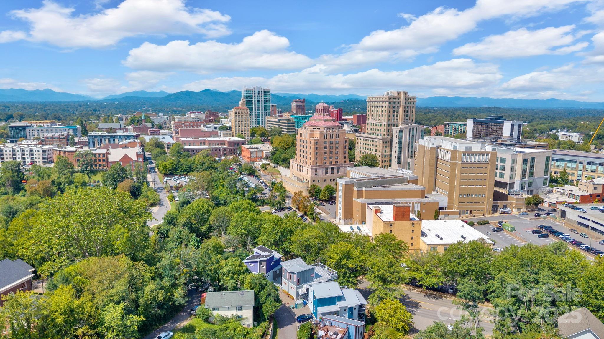 8 Birdhouse Row Asheville NC 28801