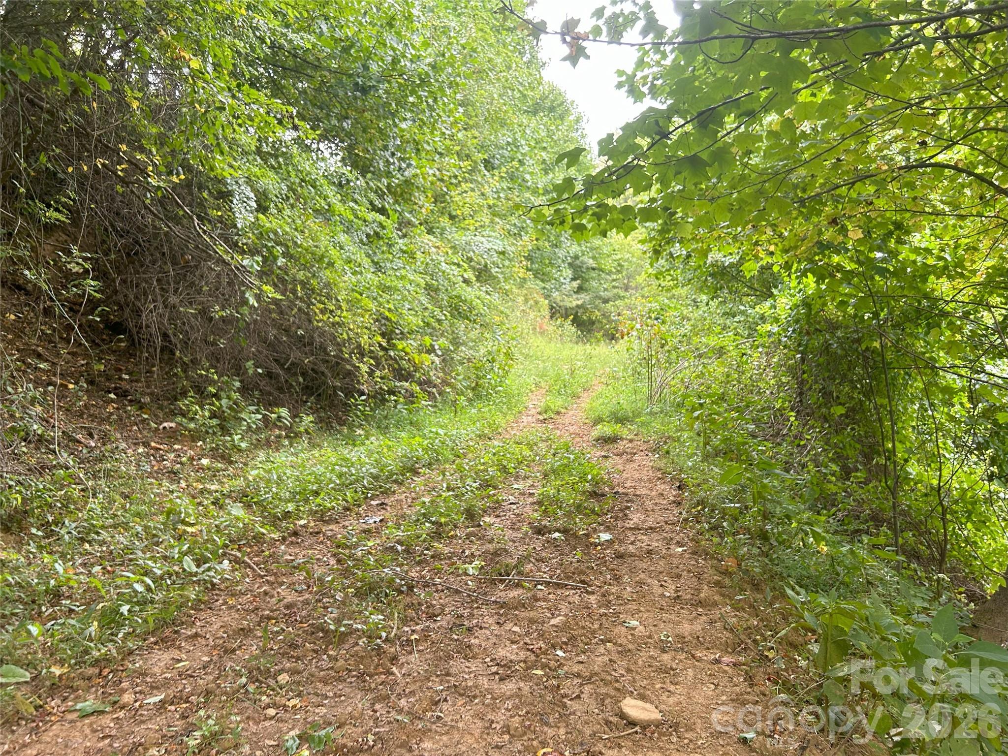 840 Ed Williams Road Zionville NC 28698