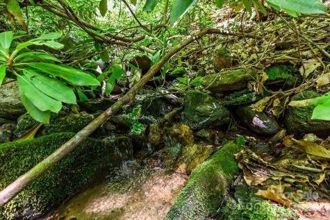 755 Merrills Cove Road Asheville NC 28803