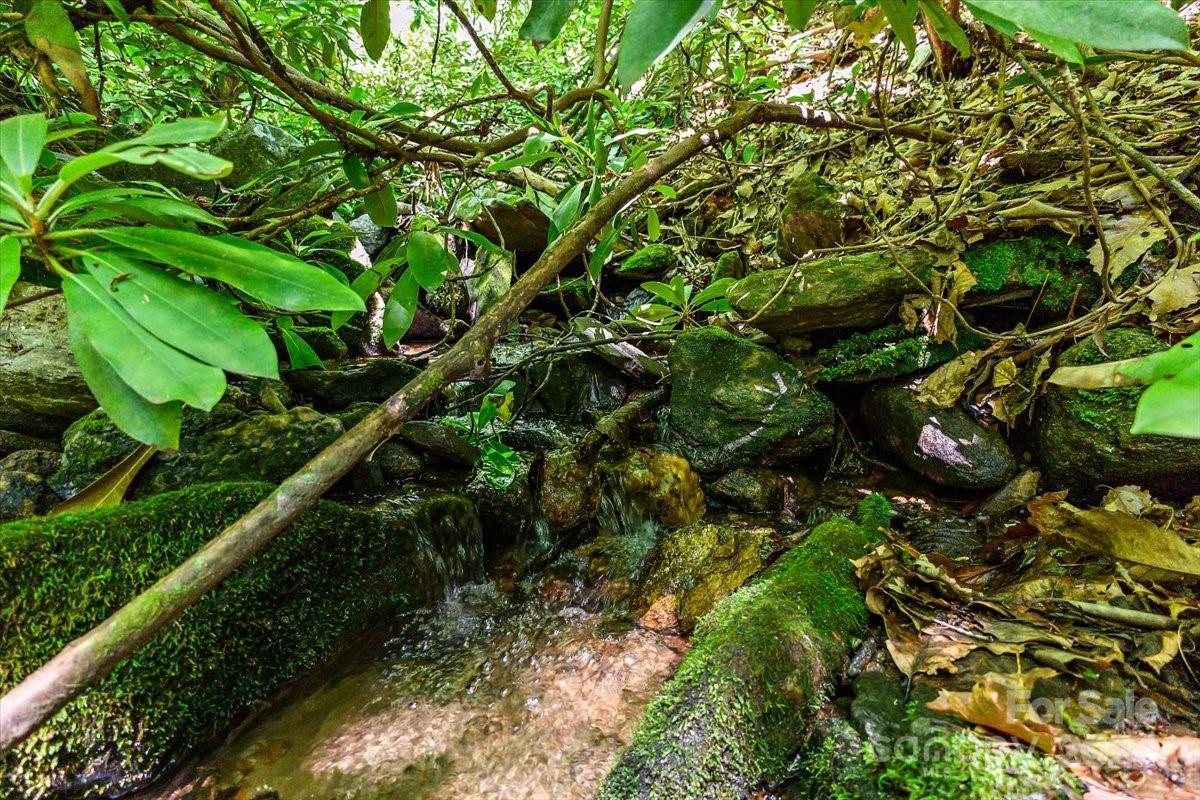 755 Merrills Cove Road Asheville NC 28803