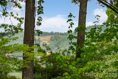 29 Longue Vue Lane Canton NC 28716