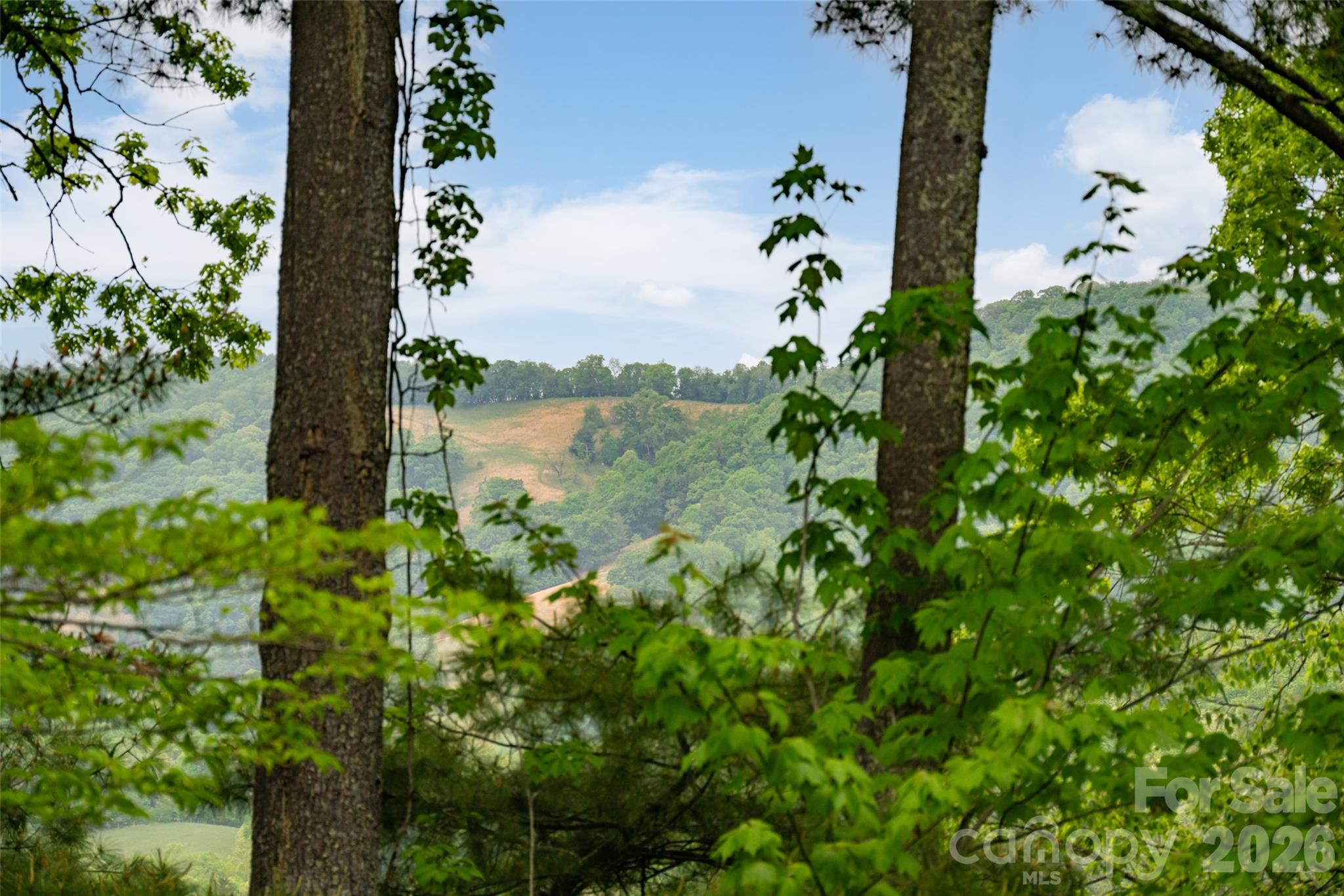 29 Longue Vue Lane Canton NC 28716
