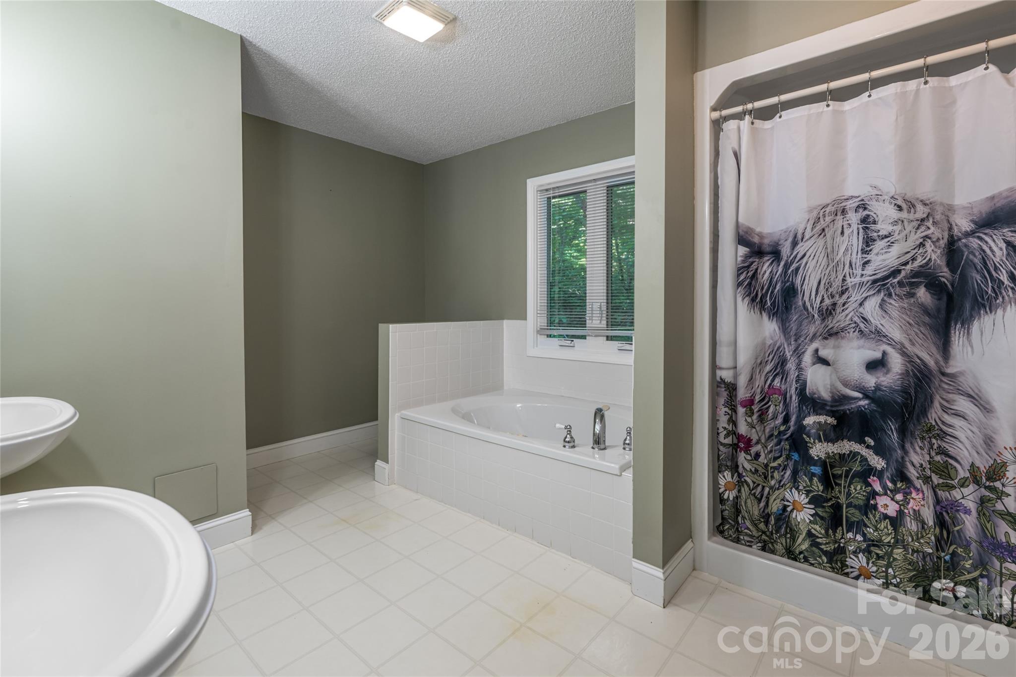 7 Timber Park Drive Black Mountain NC 28711