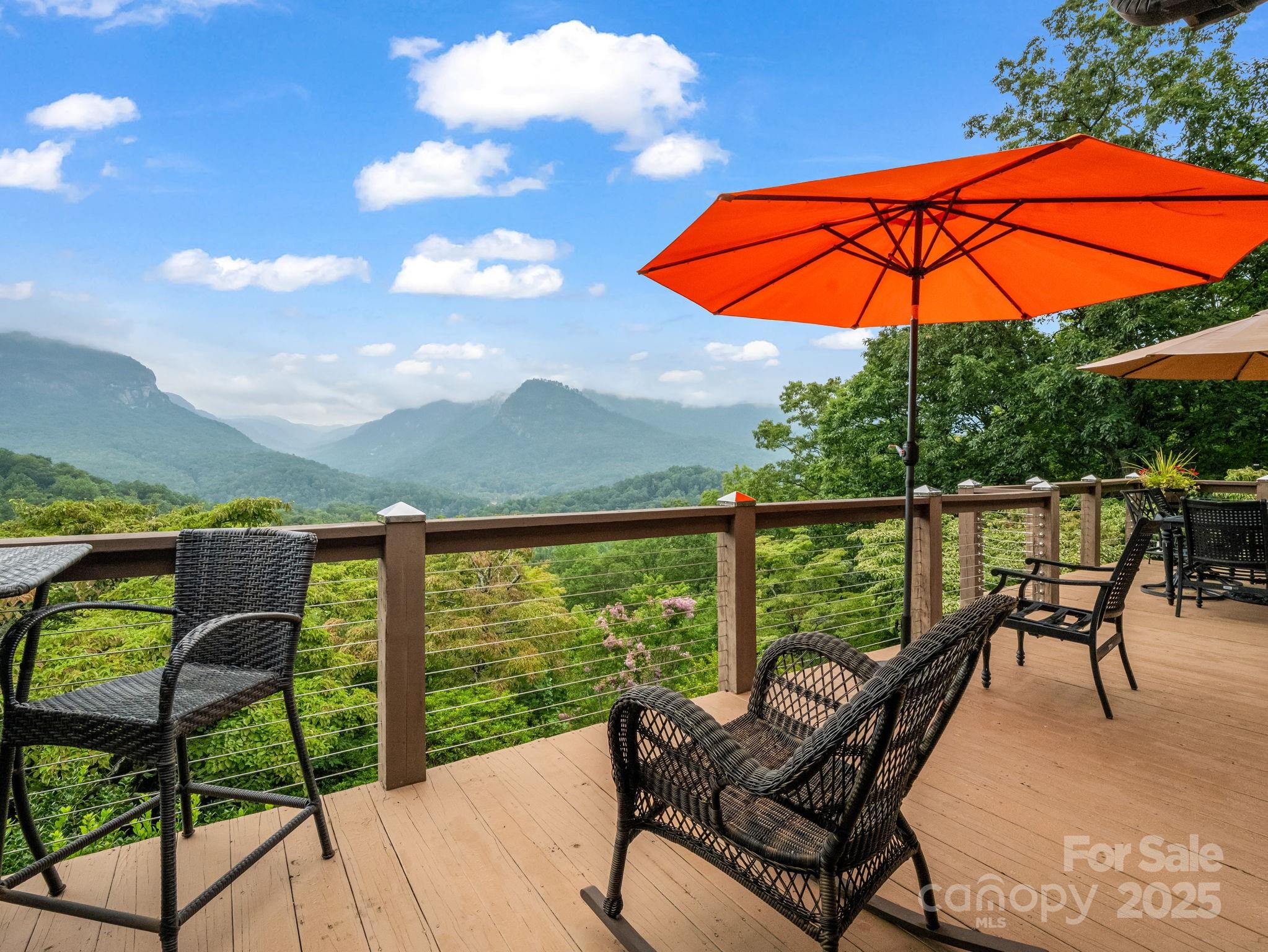 315 Thomas A Edison Road Lake Lure NC 28746