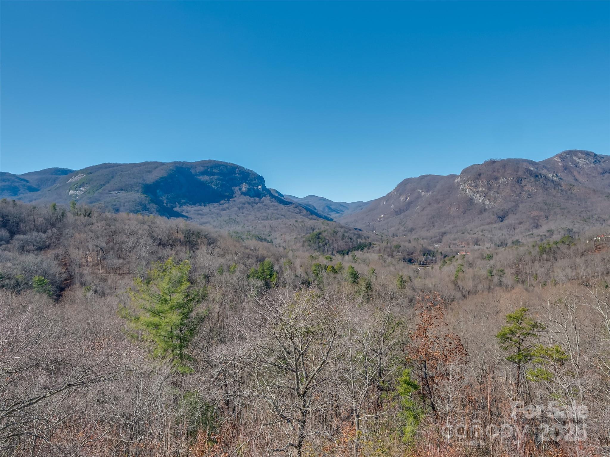 315 Thomas A Edison Road Lake Lure NC 28746