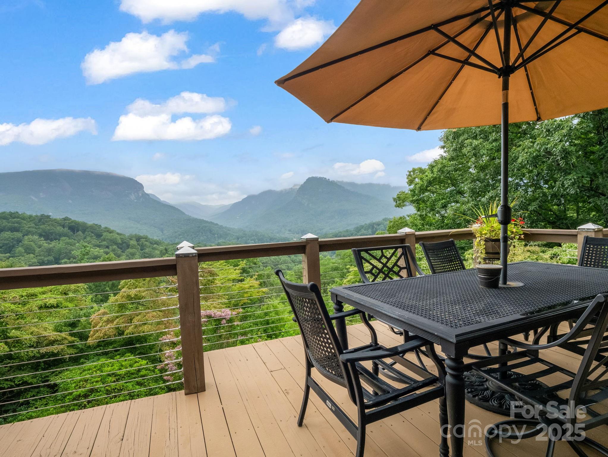 315 Thomas A Edison Road Lake Lure NC 28746