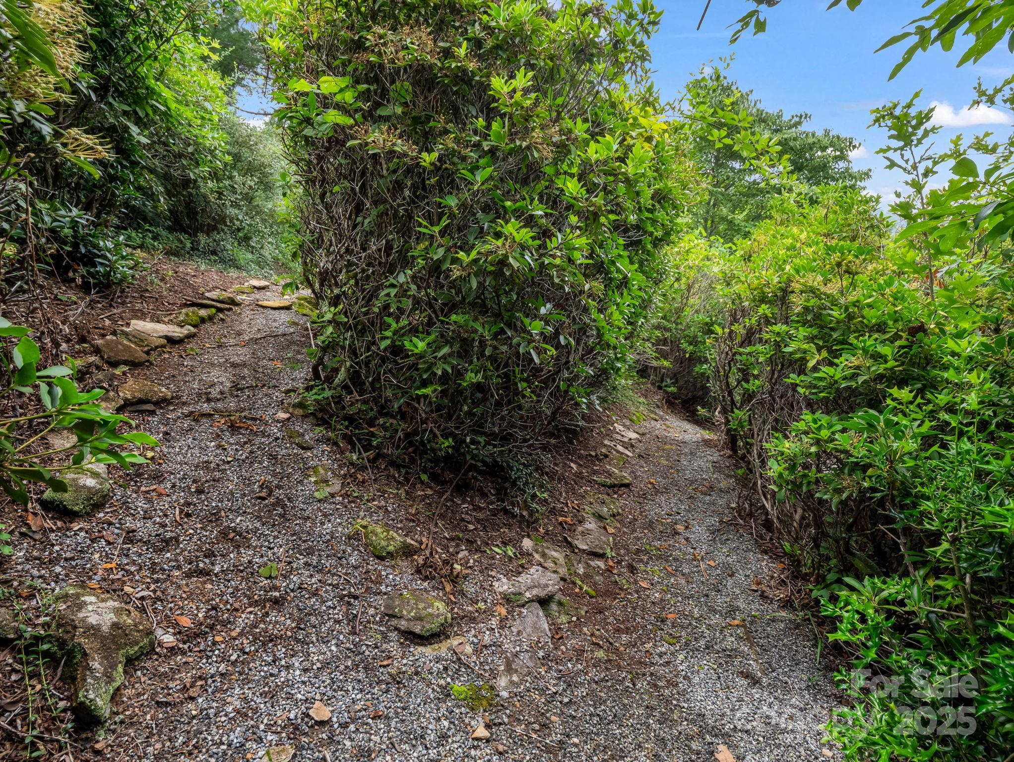 315 Thomas A Edison Road Lake Lure NC 28746