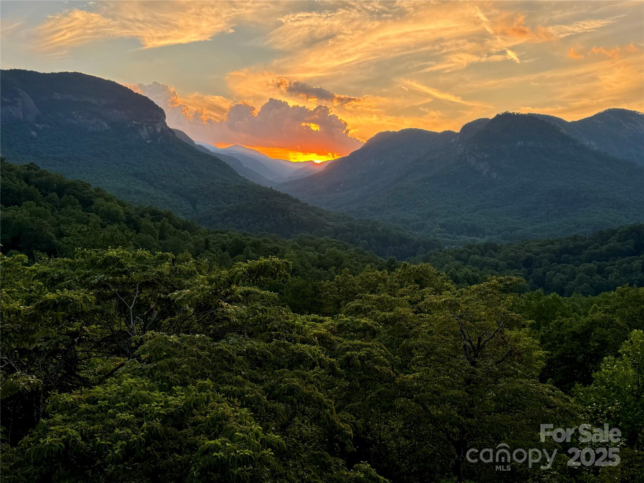 315 Thomas A Edison Road Lake Lure NC 28746