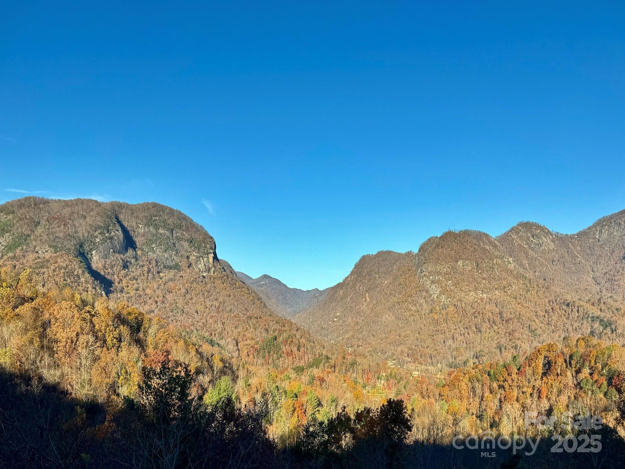315 Thomas A Edison Road Lake Lure NC 28746