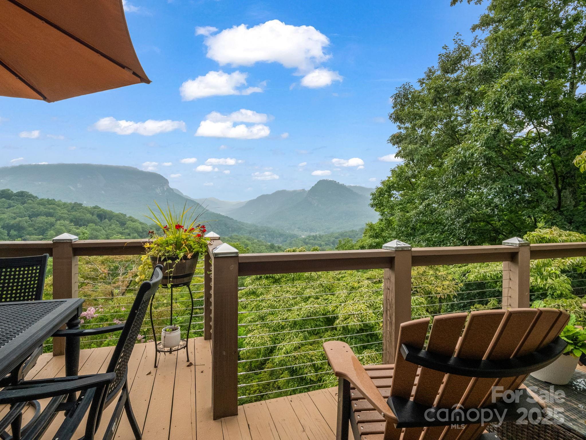 315 Thomas A Edison Road Lake Lure NC 28746
