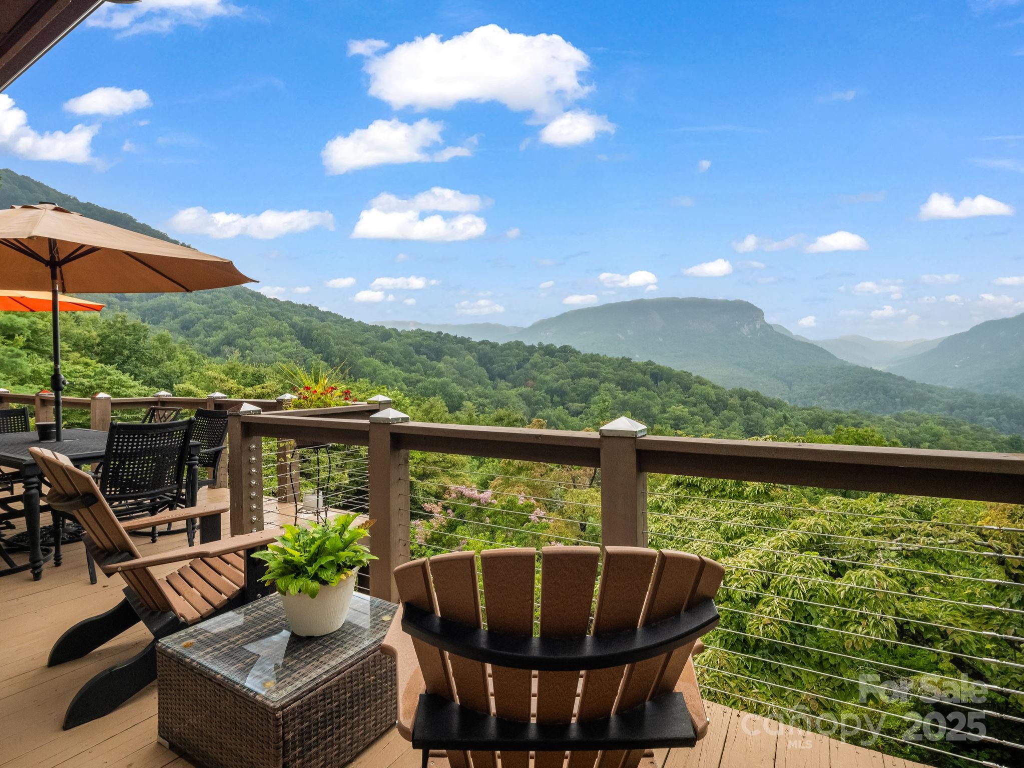 315 Thomas A Edison Road Lake Lure NC 28746
