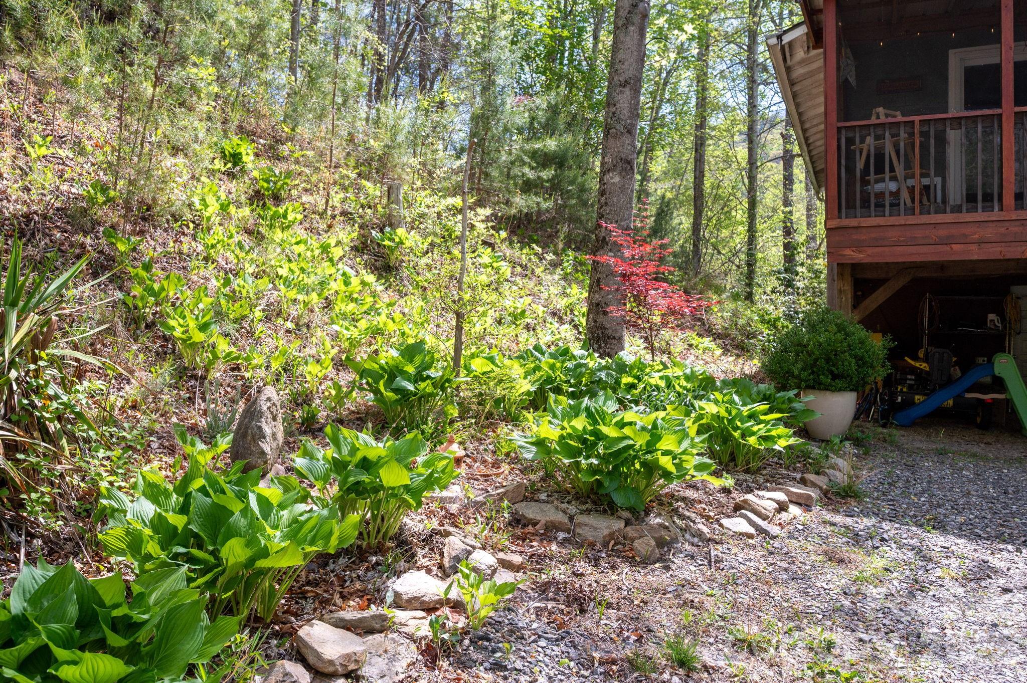 190 Shope Creek Road Asheville NC 28805