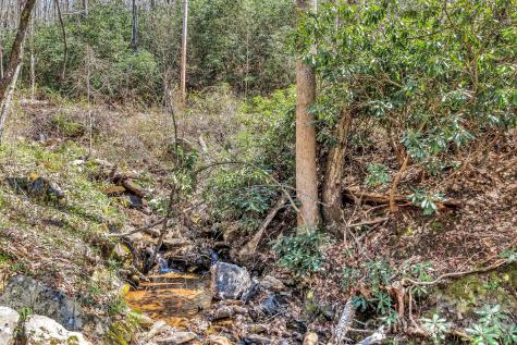 1100 Panther Branch Road Canton NC 28716
