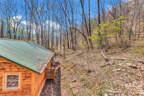 1100 Panther Branch Road Canton NC 28716