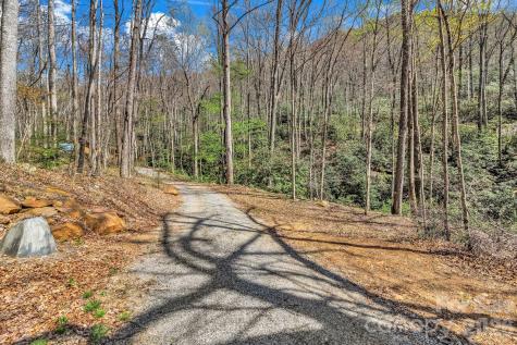 1100 Panther Branch Road Canton NC 28716