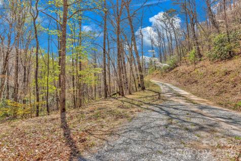 1100 Panther Branch Road Canton NC 28716