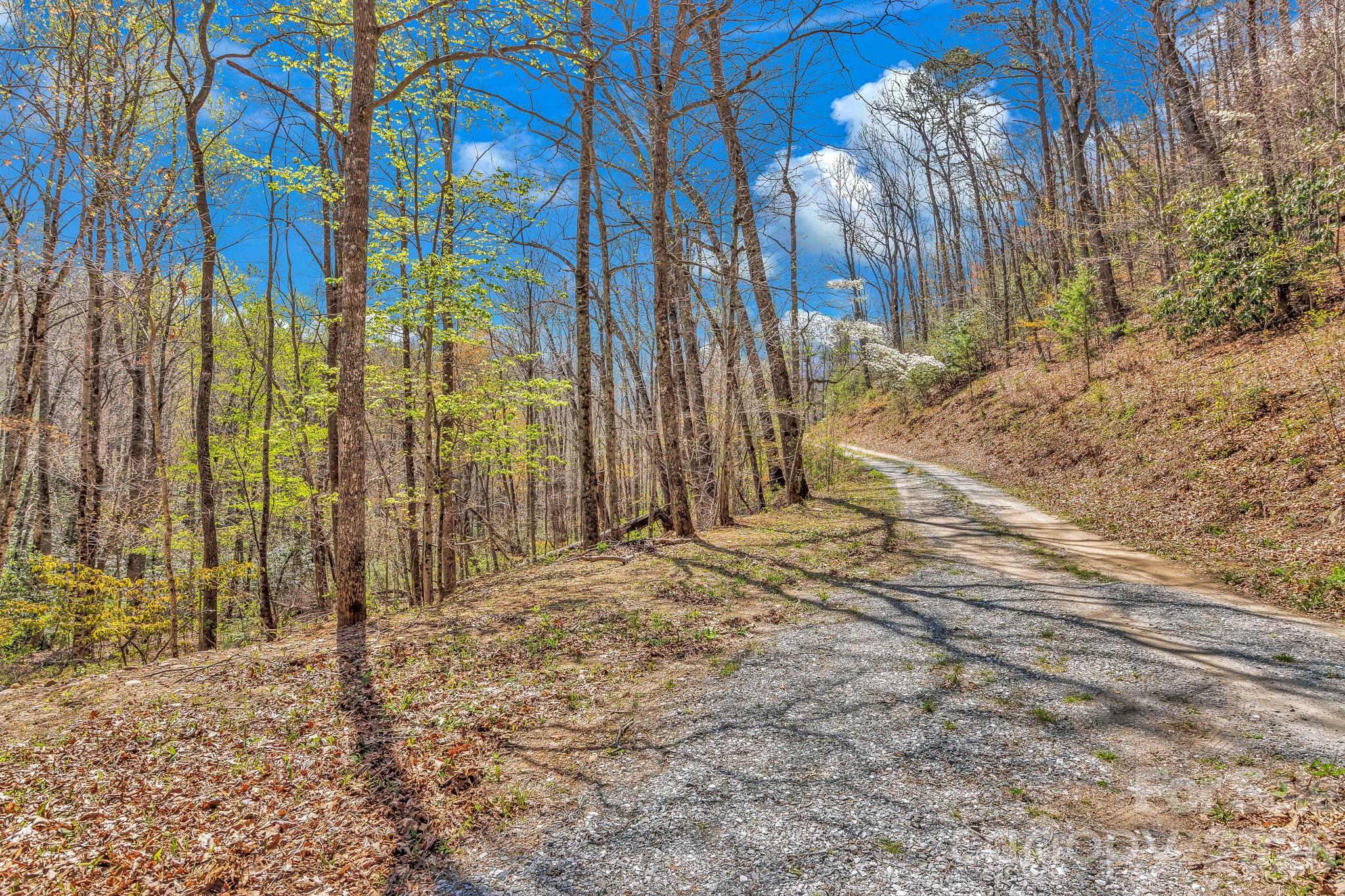 1100 Panther Branch Road Canton NC 28716