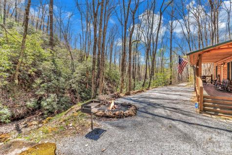 1100 Panther Branch Road Canton NC 28716