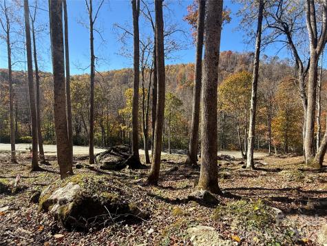 17 Sanctuary Trail Elk Park NC 28622
