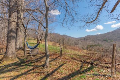 58 Last Coyote Trail Canton NC 28716