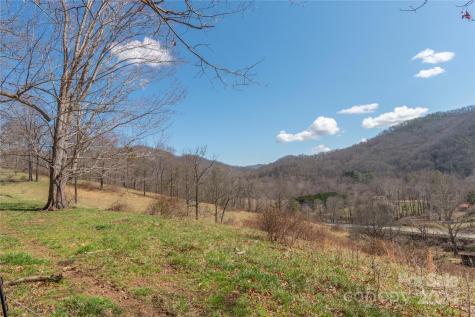58 Last Coyote Trail Canton NC 28716