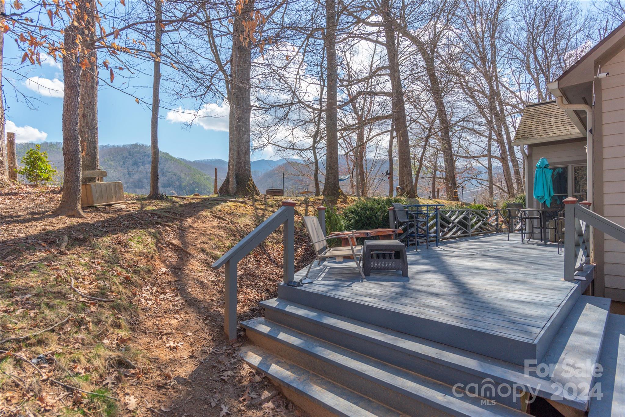 58 Last Coyote Trail Canton NC 28716