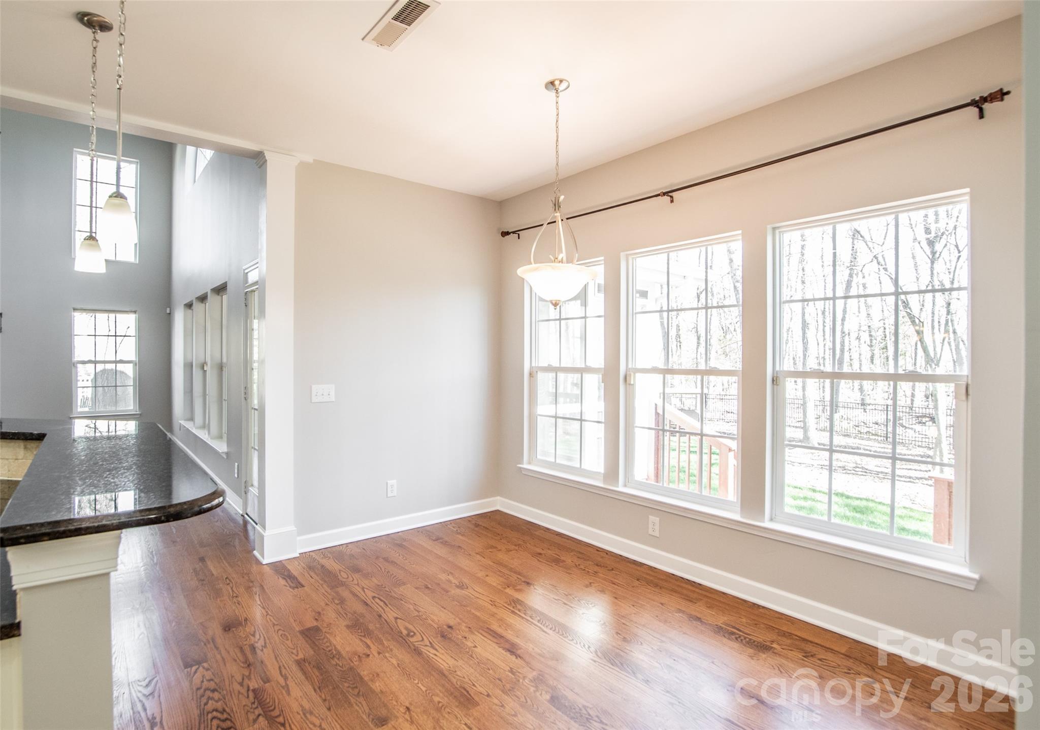 203 Elven Court Waxhaw NC 28173