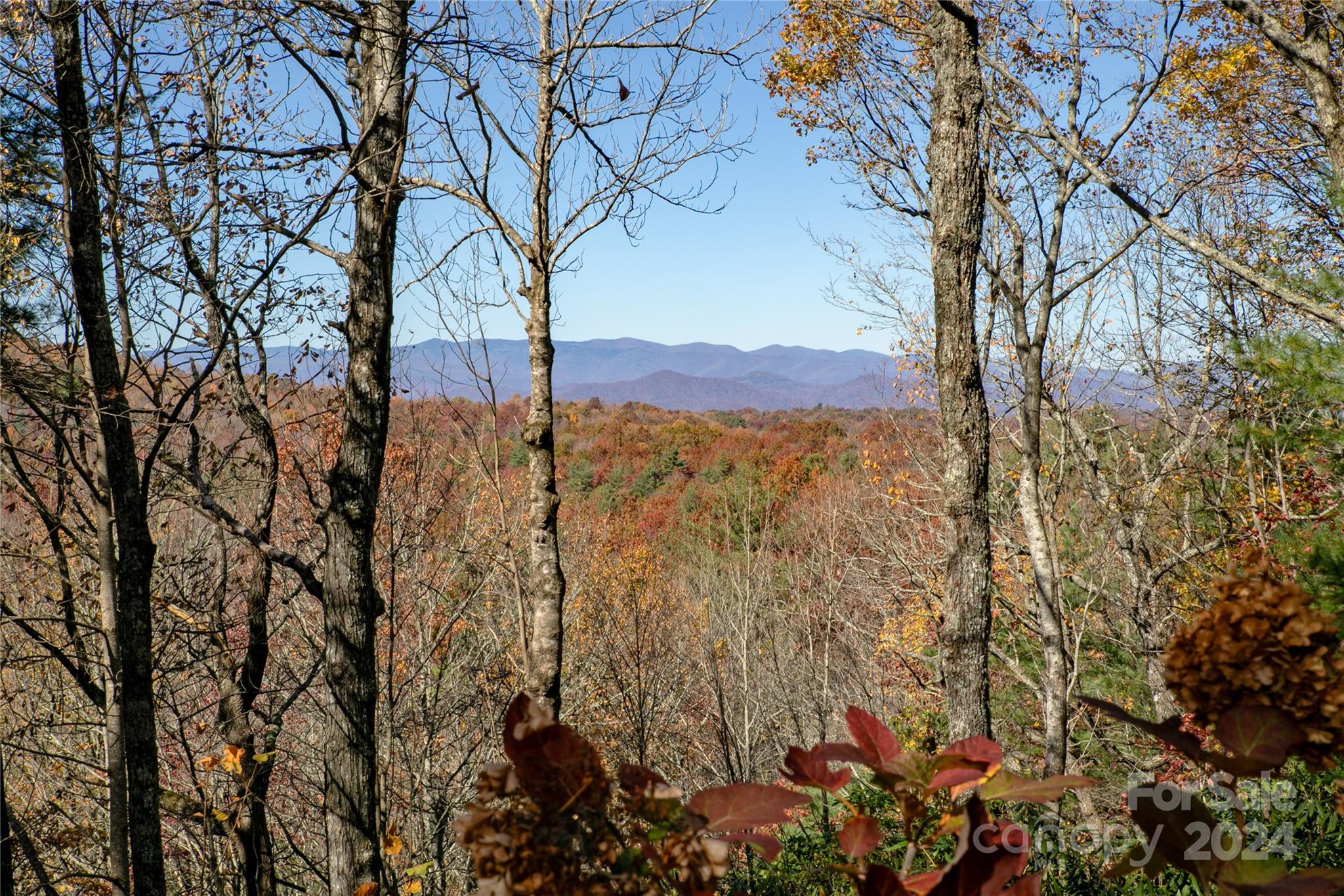 195 Spring Water Drive Brevard NC 28712