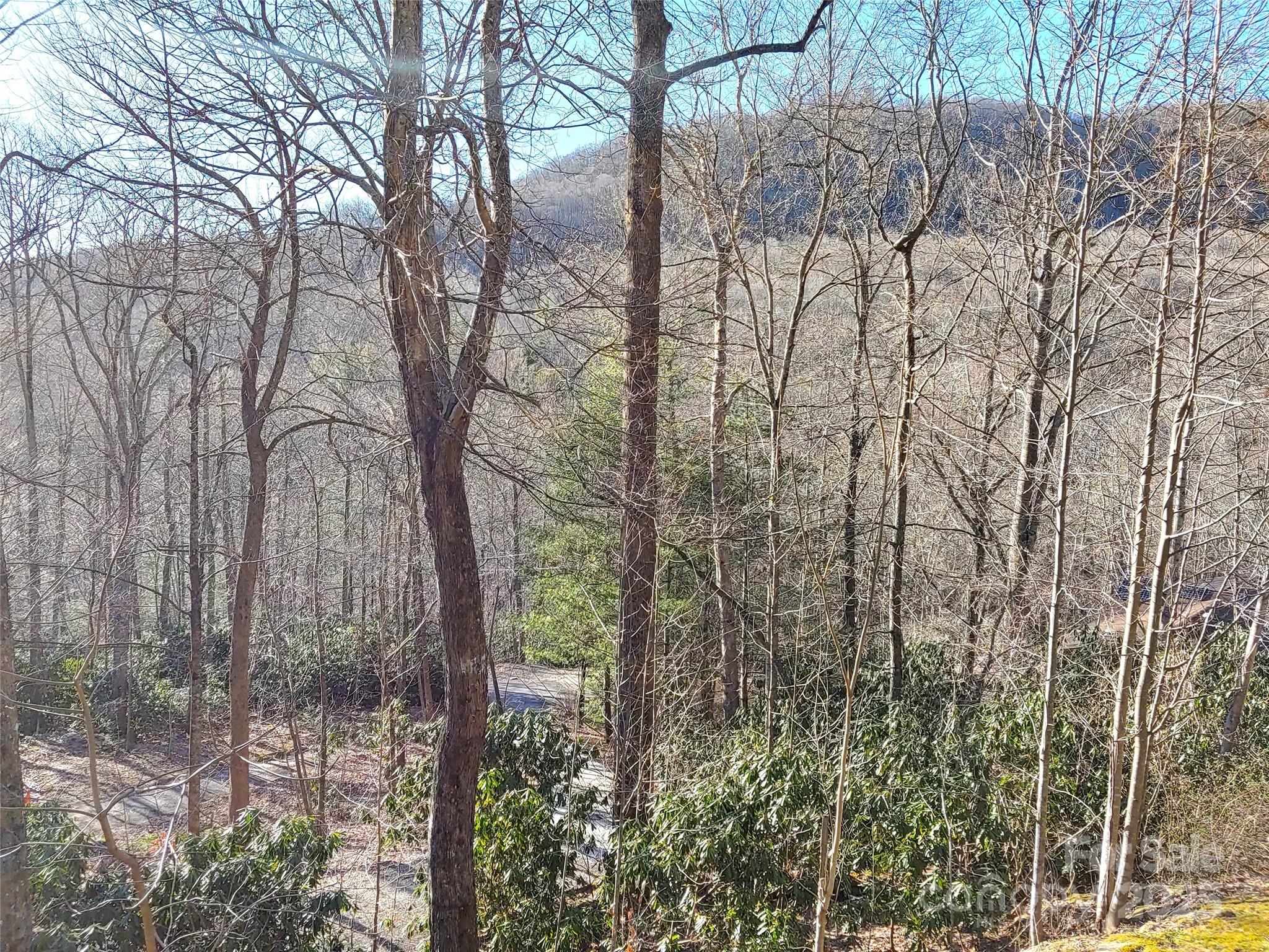 48 Buck Ridge Road Fairview NC 28730