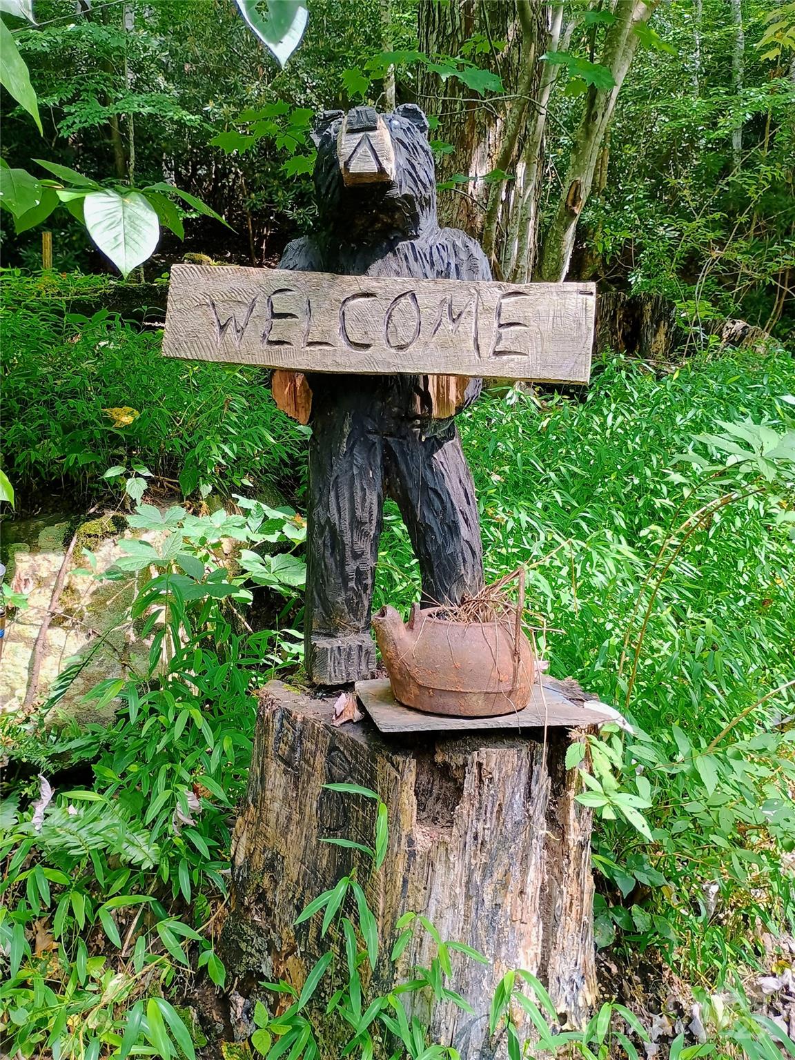 48 Buck Ridge Road Fairview NC 28730