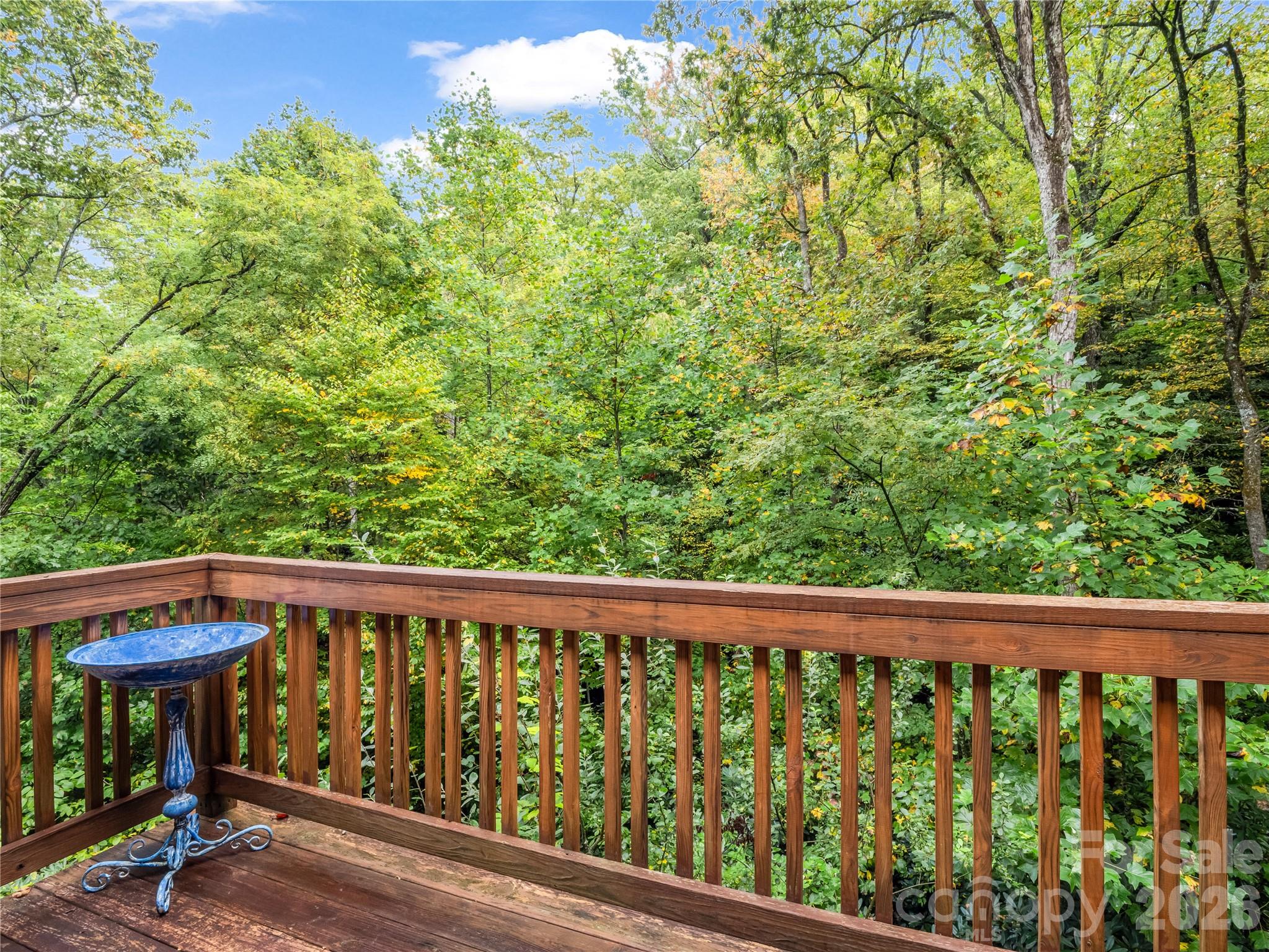 142 Winterview Trail Hendersonville NC 28739