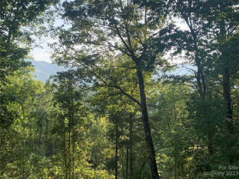 243 Artist Haven Lane Sylva NC 28779