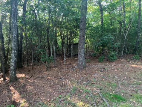 243 Artist Haven Lane Sylva NC 28779