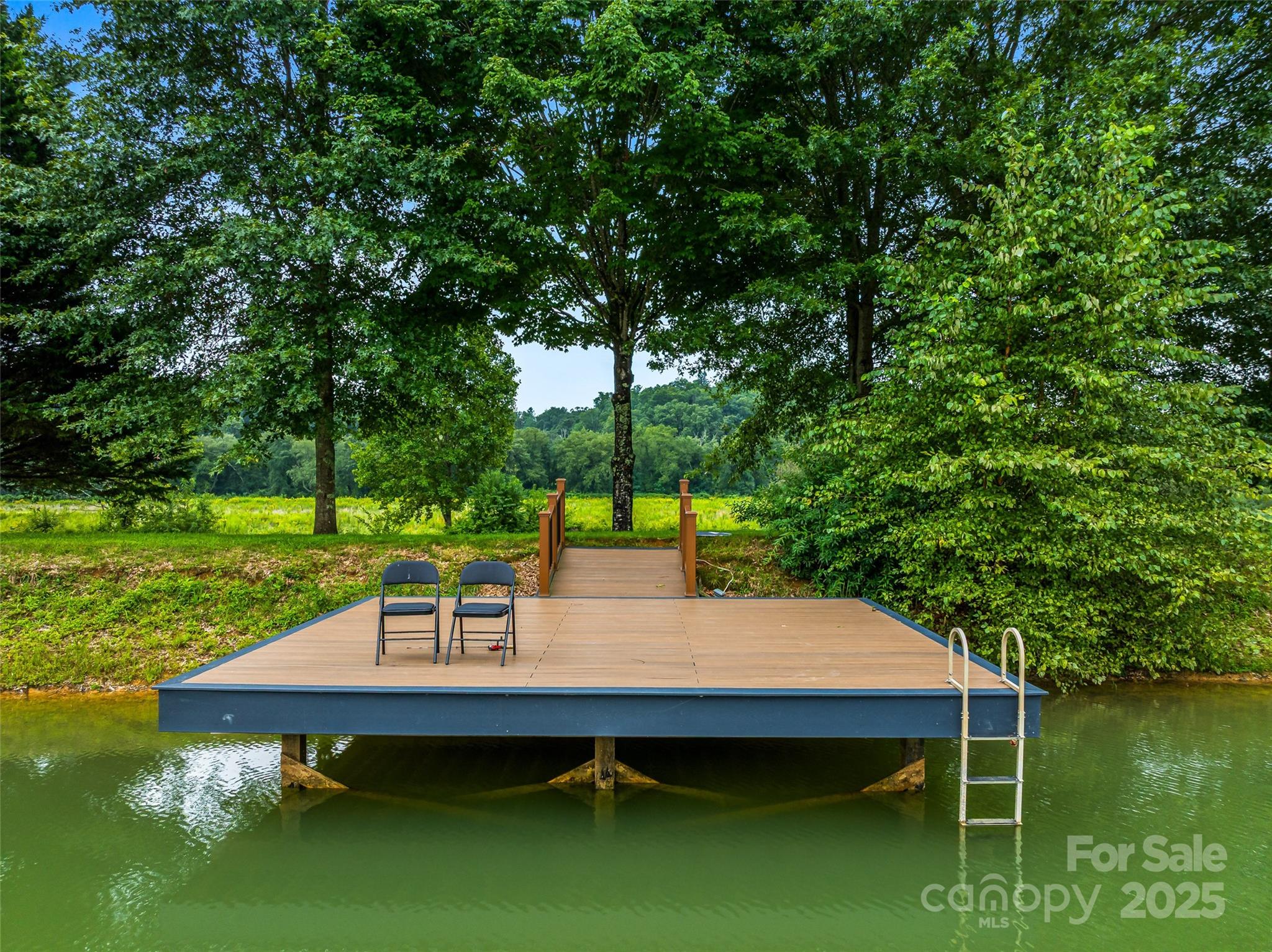 26 Cook Lane Mills River NC 28759