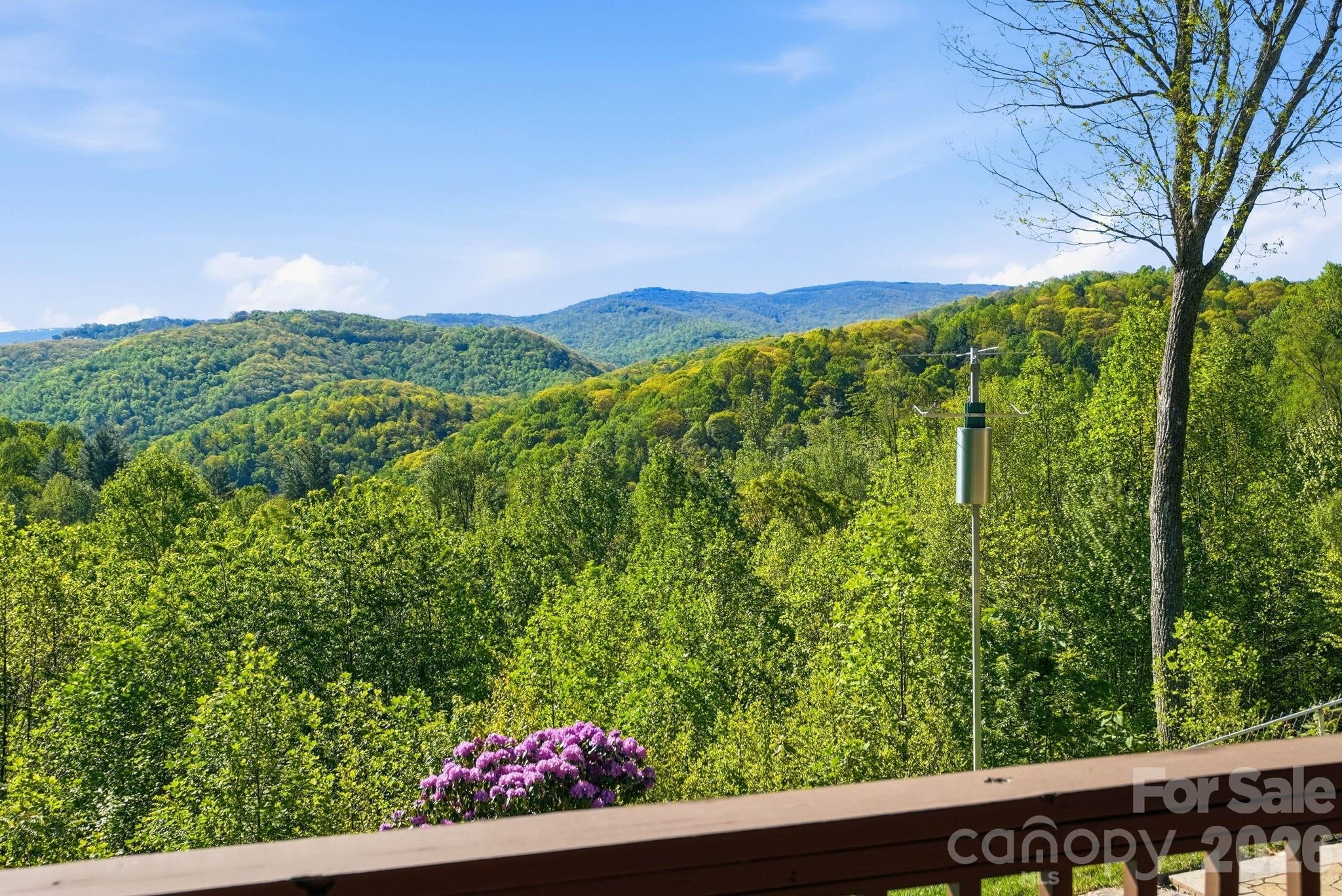 394 Hummingbird Lane Elk Park NC 28622