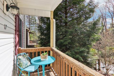 17 Castle Street Asheville NC 28803