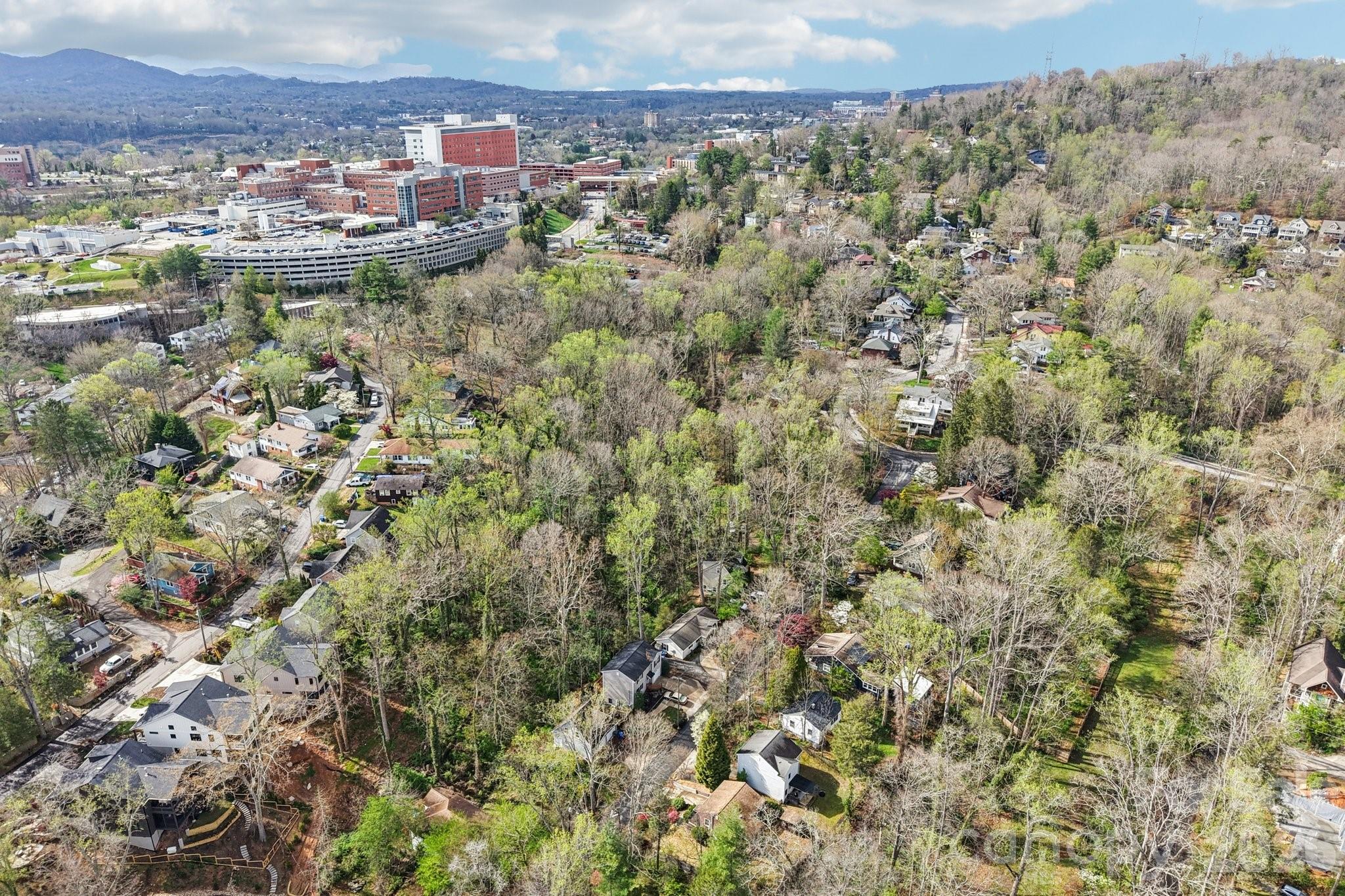 17 Castle Street Asheville NC 28803